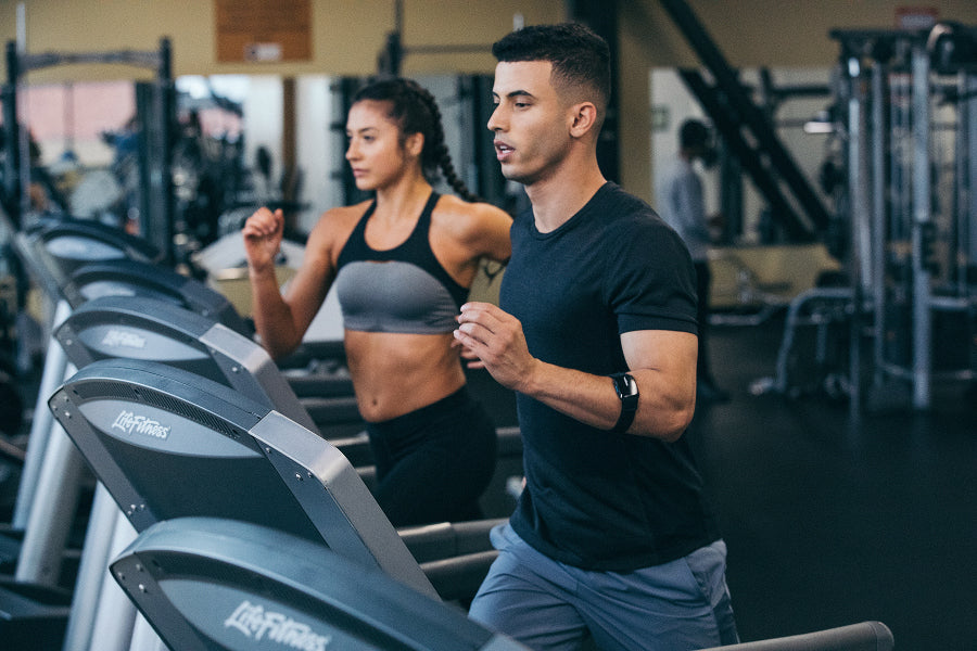 Wahoo Tickr Fit Hrm Armband - Ultimate Cycles Nowra