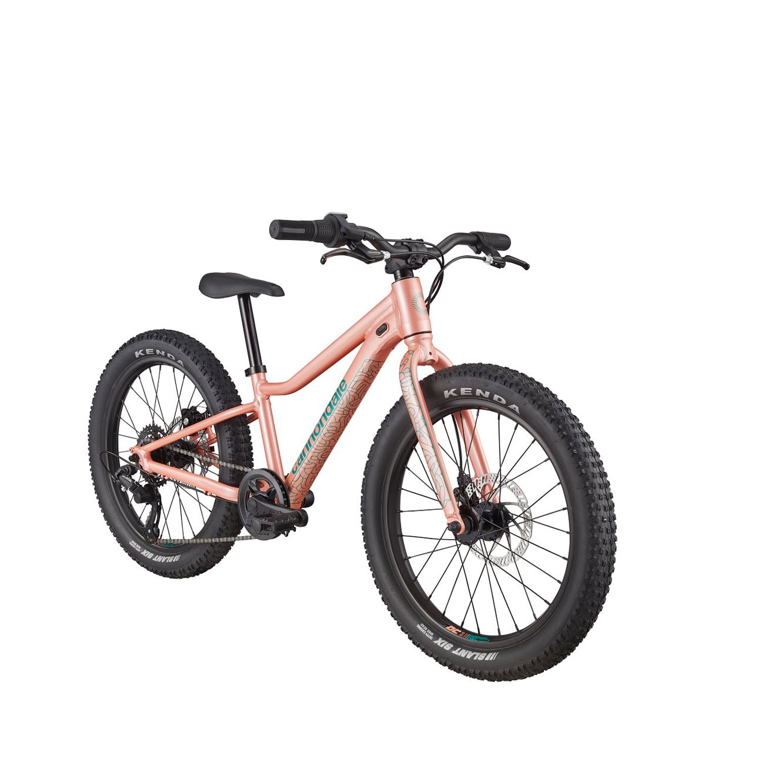 Cannondale Trail Plus 20" Kids - Ultimate Cycles Nowra