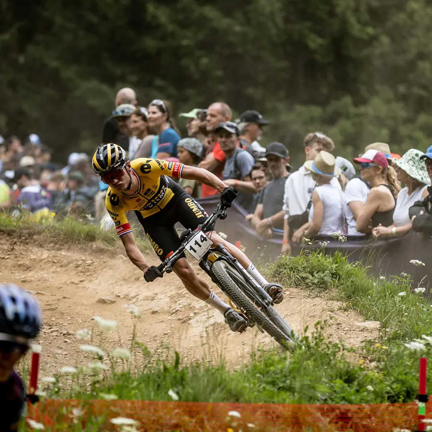 Cervelo C24 Zfs-5-5 Xx Sl Axs - Ultimate Cycles Nowra