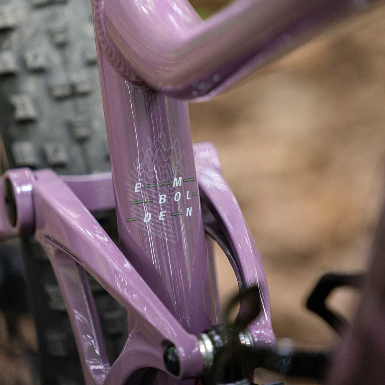 LIV Embolden 2 MTB Purple Ash - Ultimate Cycles Nowra