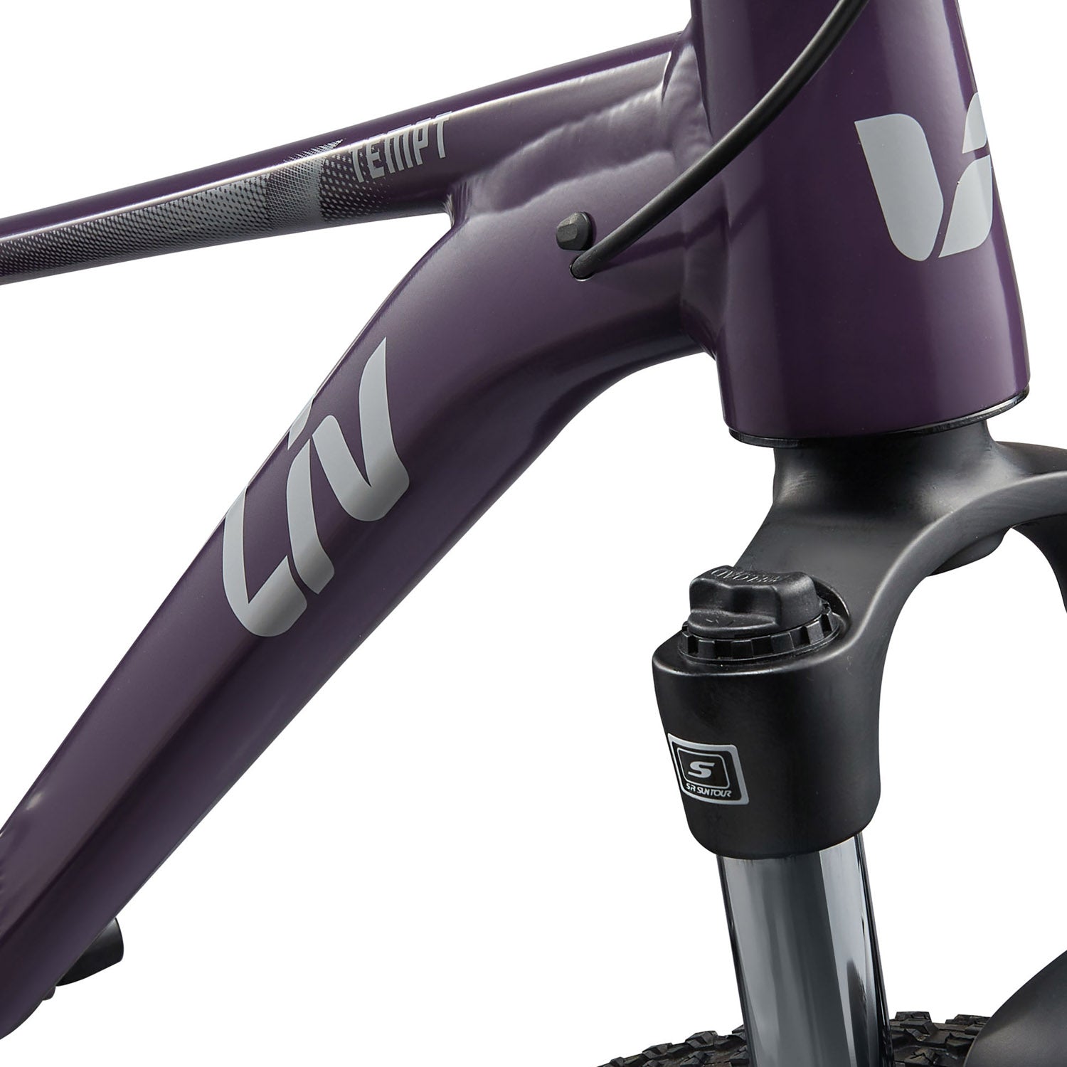 Liv Tempt 3 MTB 29er - Ultimate Cycles Nowra