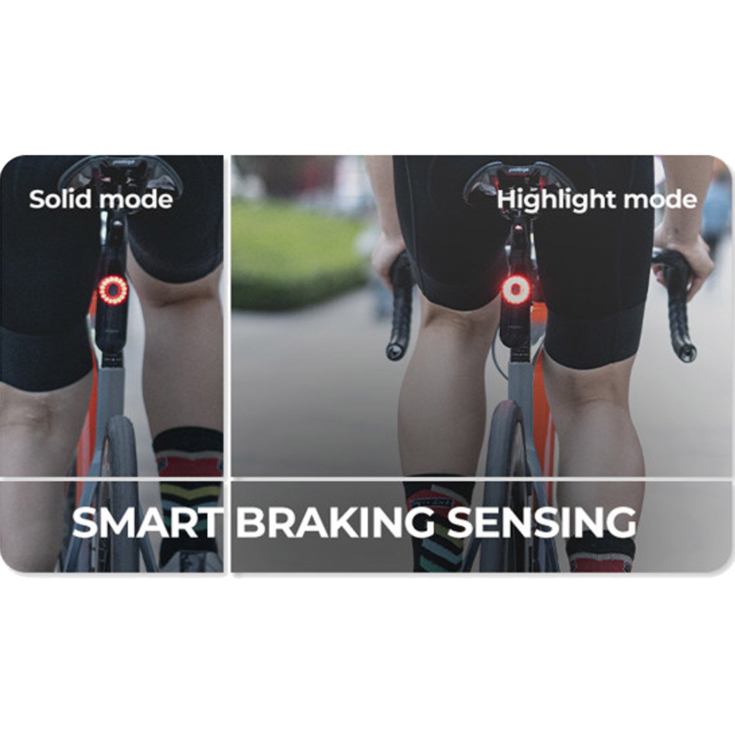 Magene L508 Radar Tail Light - Ultimate Cycles Nowra