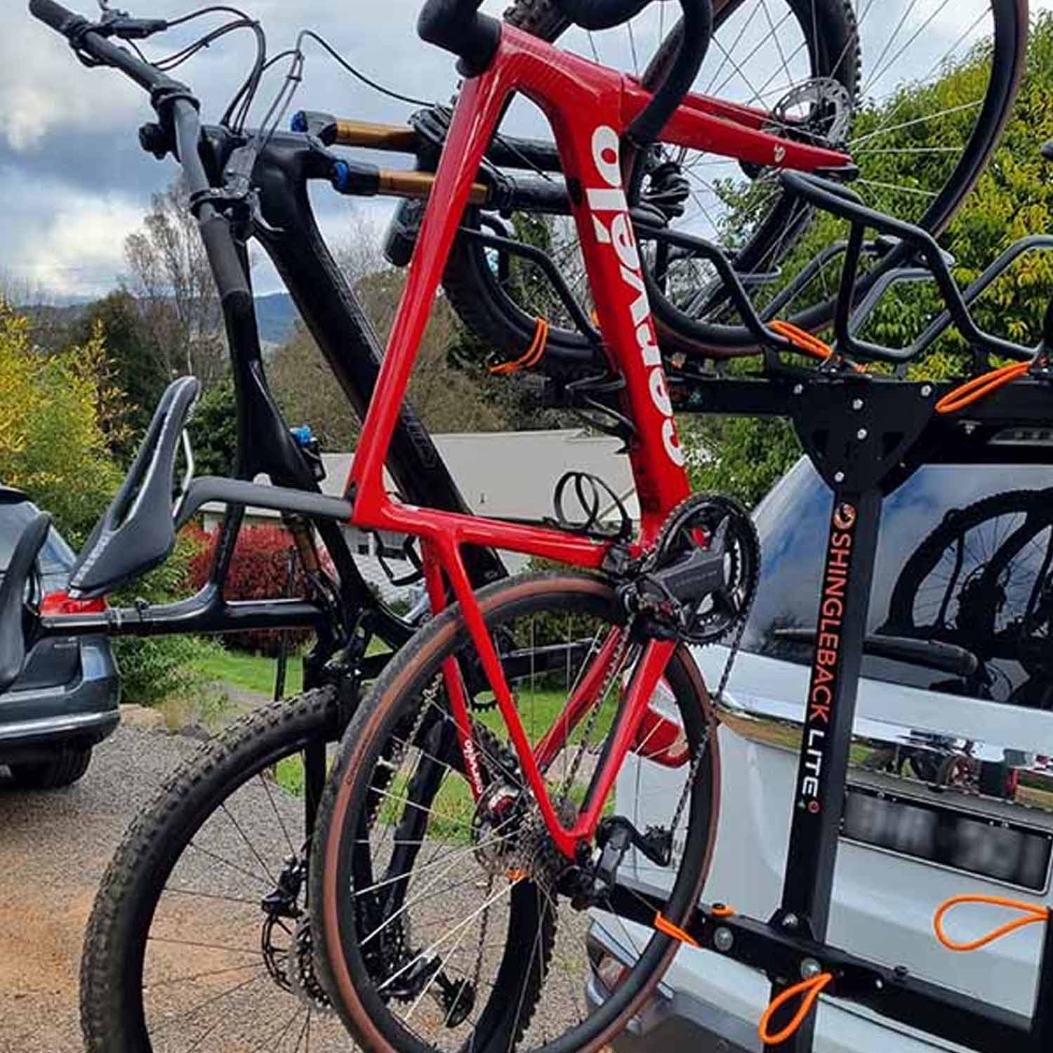 Shingleback Lite Rack - Ultimate Cycles Nowra