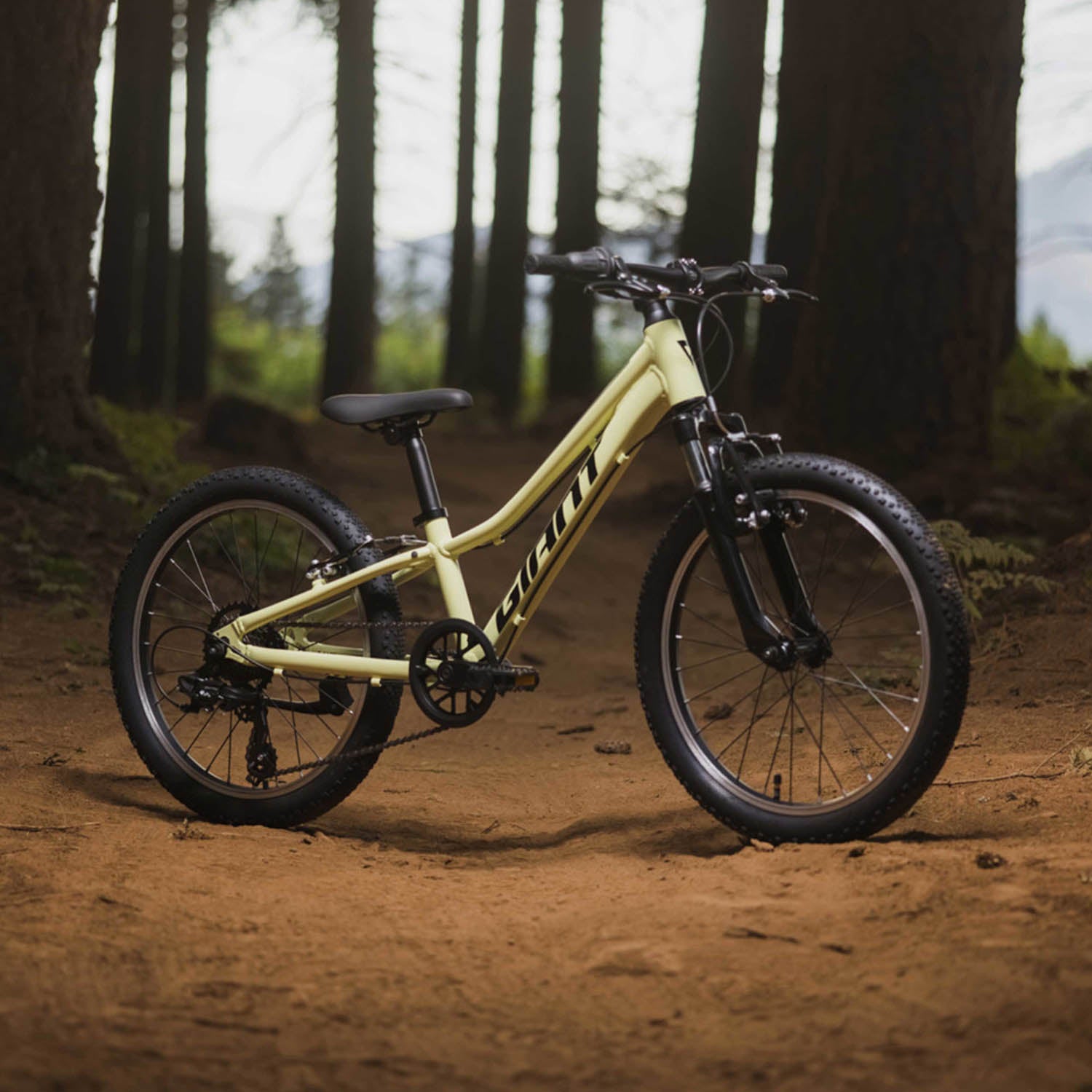 Giant Talon 20" Muscat Blanc - Ultimate Cycles Nowra