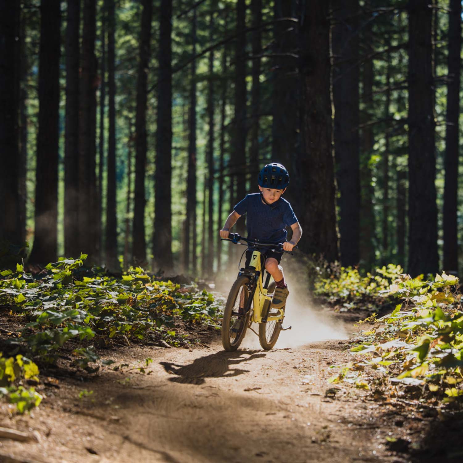 Giant Talon 20" Muscat Blanc - Ultimate Cycles Nowra