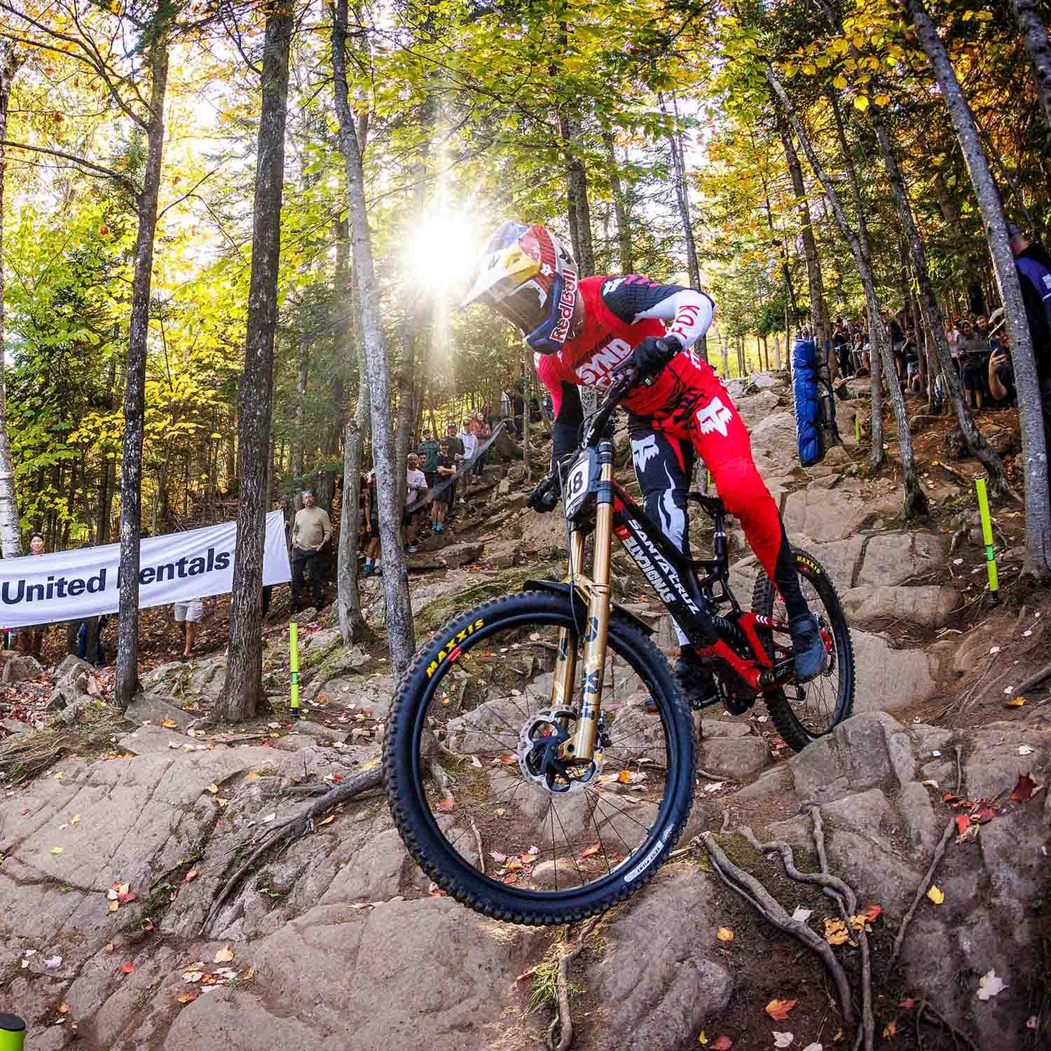 Santa Cruz V10 8 CC MX S-Kit SC26 Gloss Kelp Green