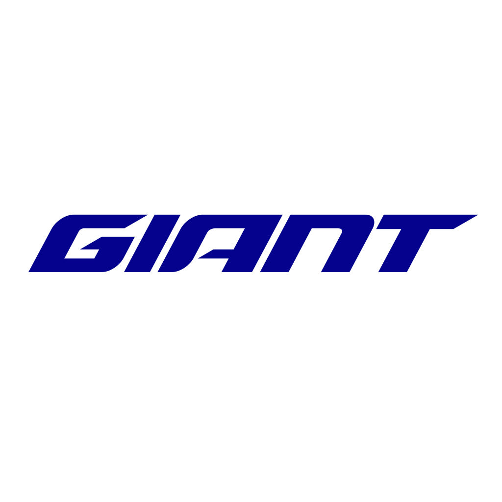 Giant Bikes
