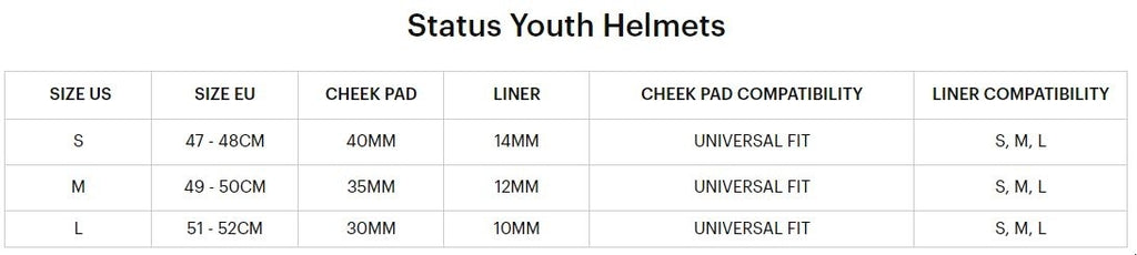100% Status Helmet Youth Caltec/grey - Ultimate Cycles Nowra