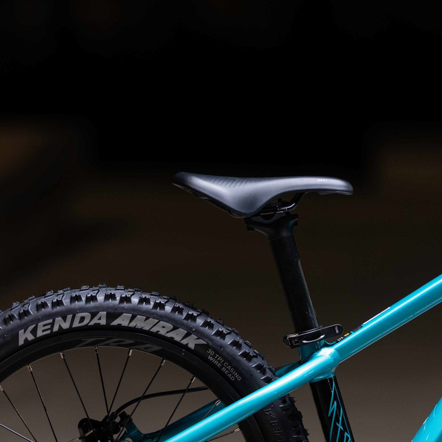 Giant STP 20 FS Teal