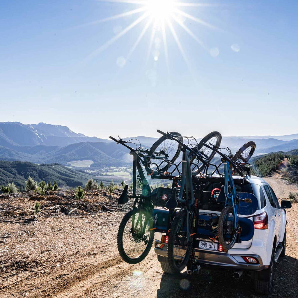 Shingleback Light Board - Ultimate Cycles Nowra