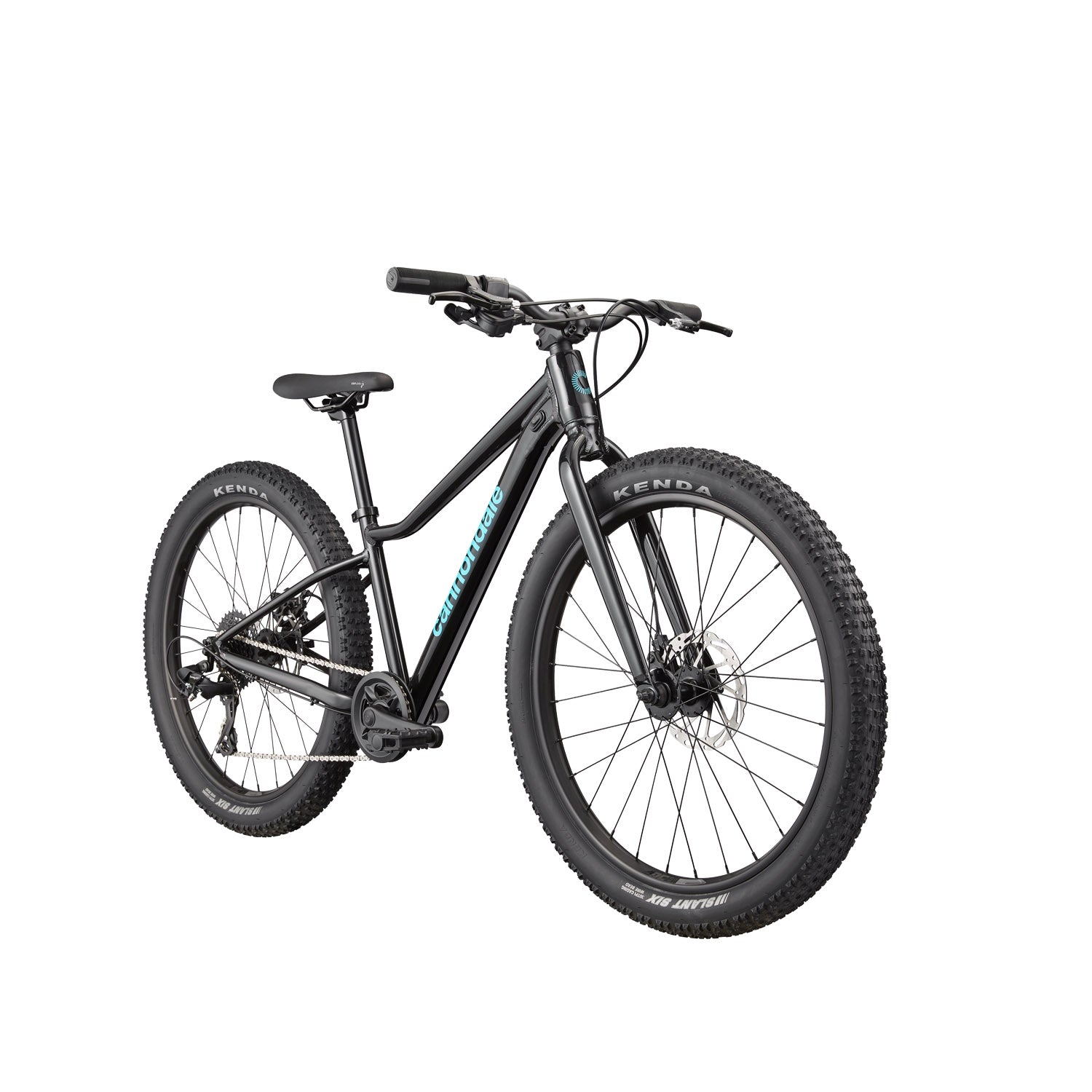Cannondale Trail Plus 24" Black Pearl
